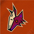 Arizona Coyotes Face Pack 2022-23