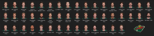 233264255_MinnesotaWild.thumb.PNG.65be9c2485fc802d3e491ea89e333bdc.PNG