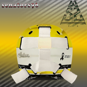Dmitri Shugayev backmask 2023-24.png
