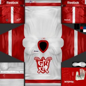 Grand Rapids Griffins3.jpg