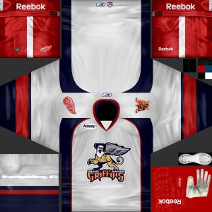Grand Rapids Griffins2.jpg