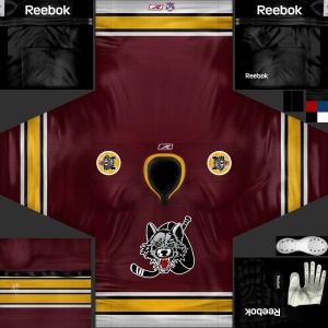 Chicago Wolves.jpg