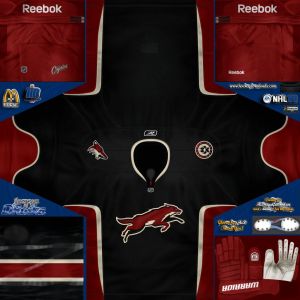 Phoenix Coyotes3.jpg