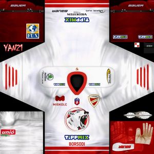DVTK Jegesmedvek (DVTK Polar Bears)2.jpg