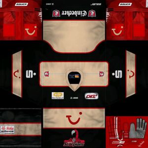 Hannover Scorpions2.jpg