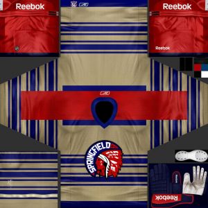 Springfield Falcons3.jpg