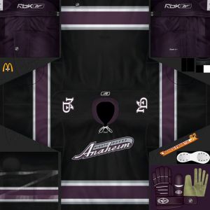 Anaheim Ducks2.jpg