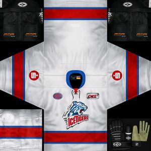 Nurnberg Ice Tigers2.jpg