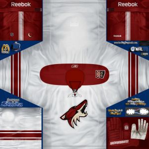 Phoenix Coyotes2.jpg