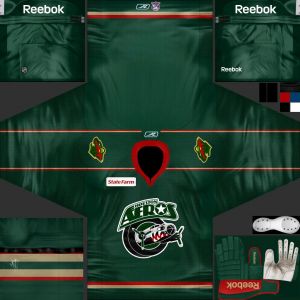 Houston Aeros.jpg