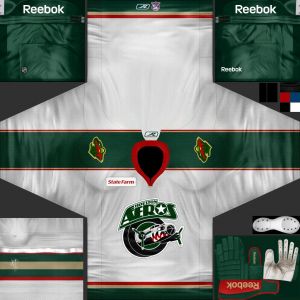 Houston Aeros2.jpg