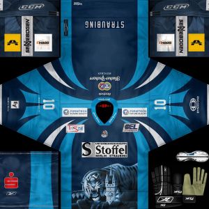 Straubing Tigers2.jpg