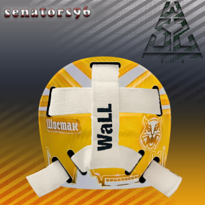 Konstantin Shostak backmask 2024-25.png