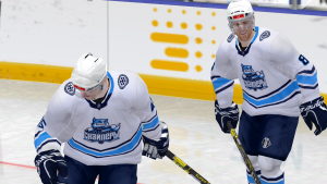 LordHockey 2025-06-10 09-22-17-10.png