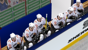 LordHockey 2025-06-06 09-43-36-29.png