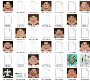 image.thumb.png.495965944264040876fbb026ea6cf97c.png
