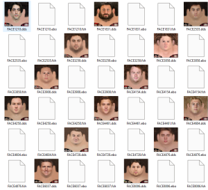 image.thumb.png.fb5777affb91b2e55922d93bb8a57ad6.png